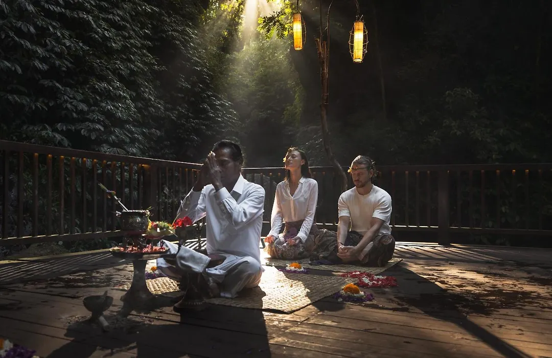 Nandini Jungle By Hanging Gardens-1